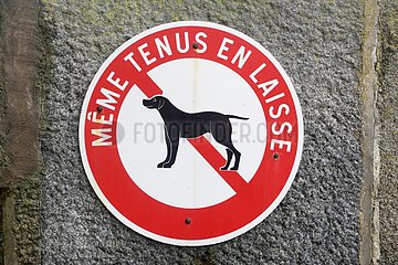 Banning dogs Intramural Walls Saint Malo Britain France