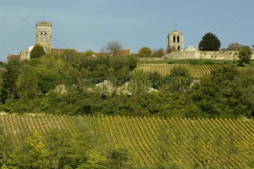 Vignoble et village de Vezelay en automne dans la Nièvre