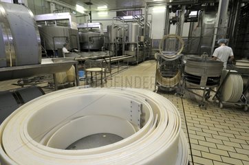Manufacturing Emmental wheel Dairyindustrial France