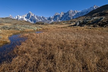Swamp of Carlaveyron and Mont Blanc Massif France