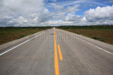 Road through taiga North coast Duplessis Québec