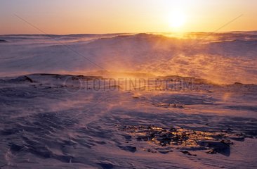 Blizzard auf Boothia Peninsula Arctic Canadian