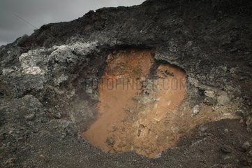 Magmatic rocks of Krafla Volcano Iceland
