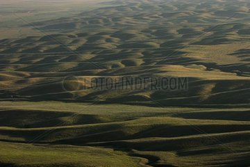 Desert landscape of the solid mass of Tien Shan Kazakhstan