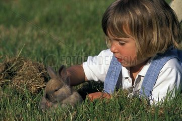 Efant cherishing a dwarf Rabbit in the grass France