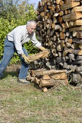 Man storing wood in a garden in autumn
