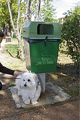 Hund in der Nähe eines Mülleimers  um Hunde Chaos Frankreich zu sammeln