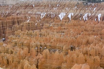 Landscape of Bryce Canyon national park Utah USA
