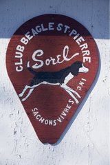 Pannel des Club Quebec eines Beagle -Wettbewerbs