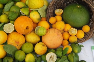 Various citrus