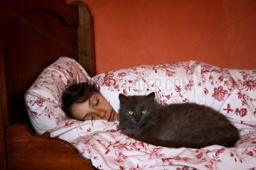 Cat lying on a bed and a sleeping young