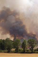 Incendie de forêt Lozère France