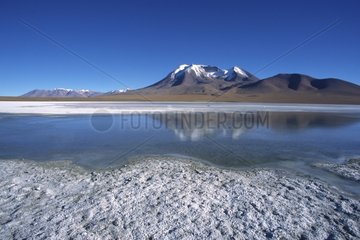Lake on the Altiplano with salt crystals Bolivia