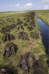 Peat blocks in the process of drying Islay island Scotland