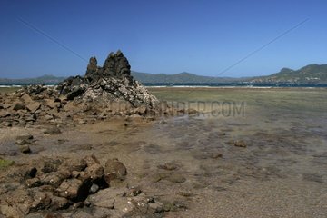 Reef with low tide Mayotte [AT]