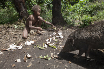 Boy cutting roots Taro - Tanna Island Vanuatu