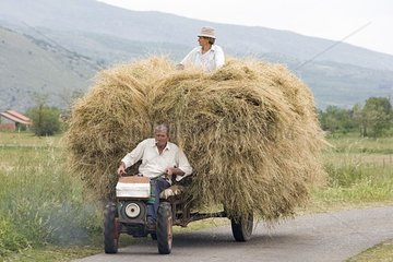 Bauern  die den Hay State Serbien und Montenegro berichten