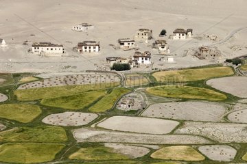 Kulturen im Tal des Zanskar River India