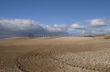 Plowed cereal field and thundery weather Spain
