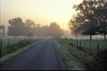 Lever de soleil et brume matinale sur une route France