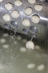 Cut mozzarella balls in a machine