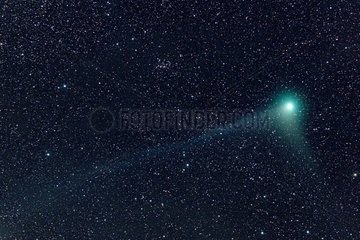 Comète Machholtz à l'approche de l'amas ouvert NGC 1342