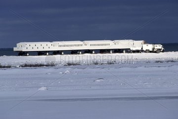 Truck hotel allowing to observe the Polar bears Canada