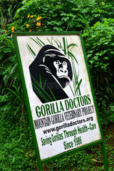 'Gorilla Doctors' - Bwindi Impenetrable National Park Uganda