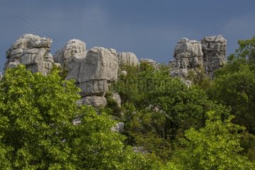 Rocks' sea of Sauve - Sauve - France Gard-