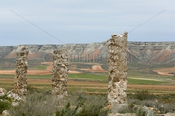 Ruins of an old hut of shepherd El Planerón Zaragoza Spain