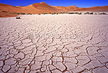 Cracked ground of Hidden Vlei Sossusvlei Namibia