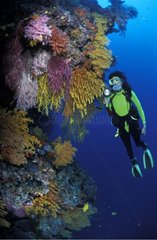 Soft corals and diver Fiji