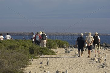 Touristen auf einem Entdeckungsweg Galapagos