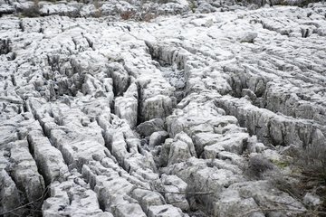 Lapiaz or erosion of calcareous rock maritime Alps