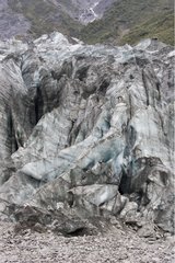 Fox Glacier in Westland NP