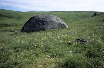 Eroded rock in a meadow