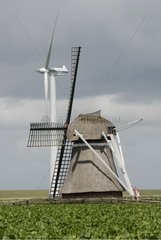 Wind und alte Windmühle Harlingen Niederlande