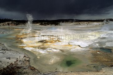 Geysers in Yellowstone National Park USA