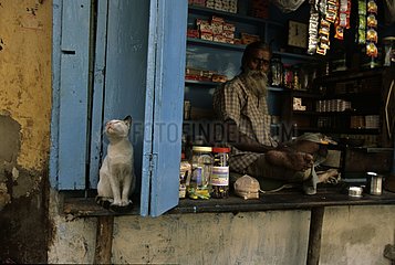 Cat sitting near a man on a stall Calcutta India