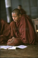 Young bhikkhu praying in a monastery Burma