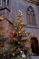 Christmas trees in front of St Thièbaut church Thann France