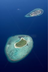 Island coralienne in the archipelago of Maldives
