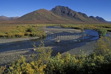First colors of autumn on a riverside Yukon