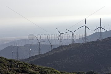 Windmühlen aus Windpark in der Nähe von Tarifa Spanien