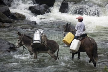 Child crossing Irubi River on horseback with his Ass