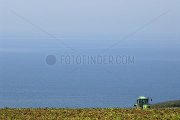 Tractor in a field on the seafront at Pleneuf Val Andre