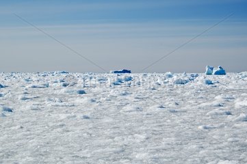 Fragments of ice drifting Adélie Land Antarctica