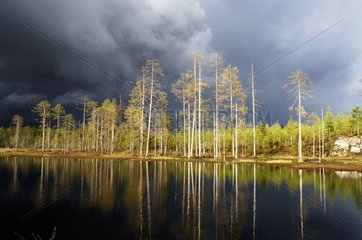 Finnish lake at the Russian border before the storm