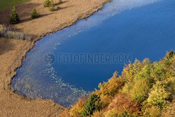 Sumpfige Bank eines Sees im Herbst Jura Frankreich