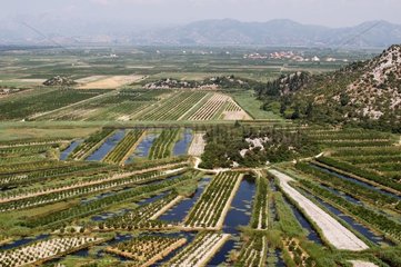Kroatische Sumpfkultur ausgelaugt